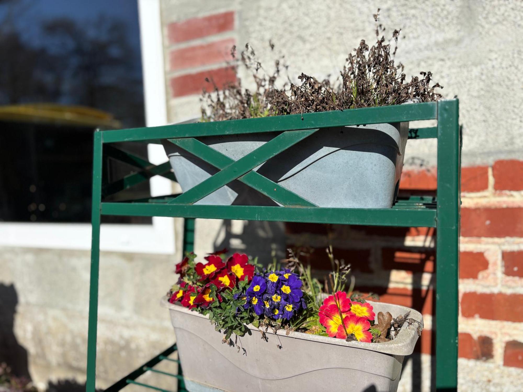 Maison grand jardin pres Port en Bessin et Bayeux, proche plages du débarquement Commes Extérieur photo